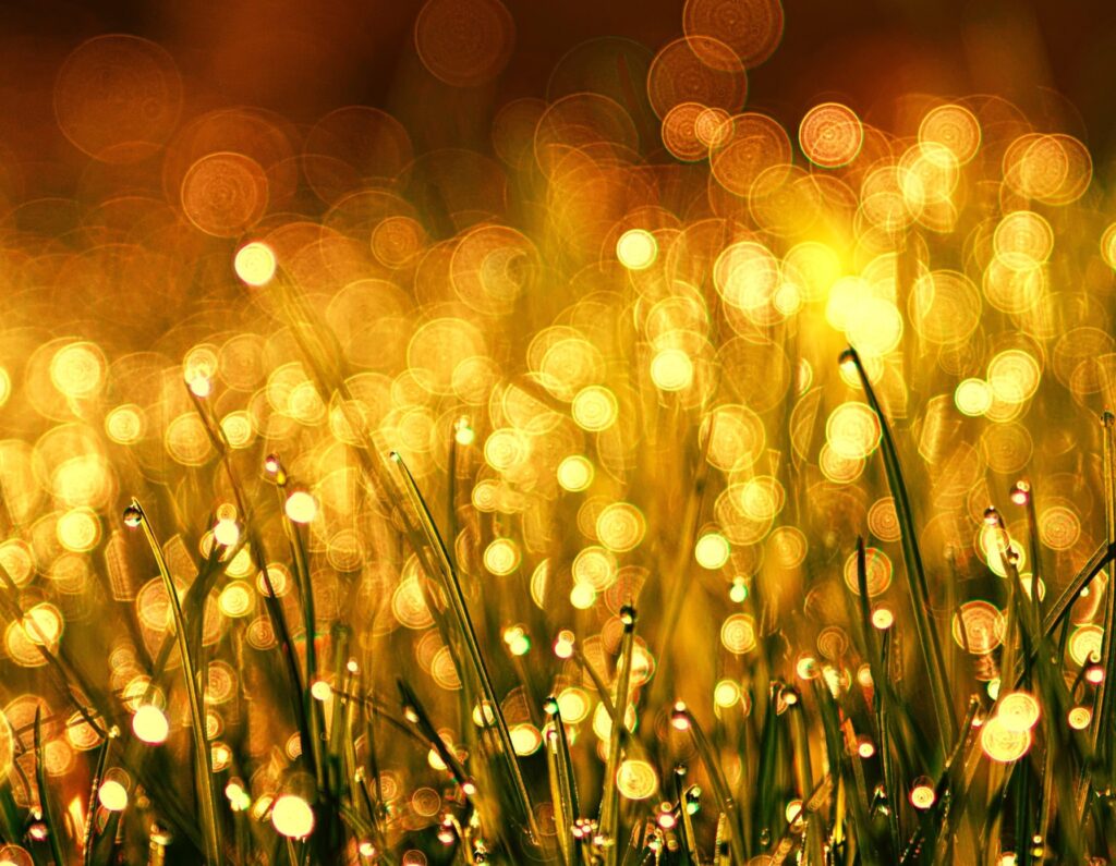 Golden business card