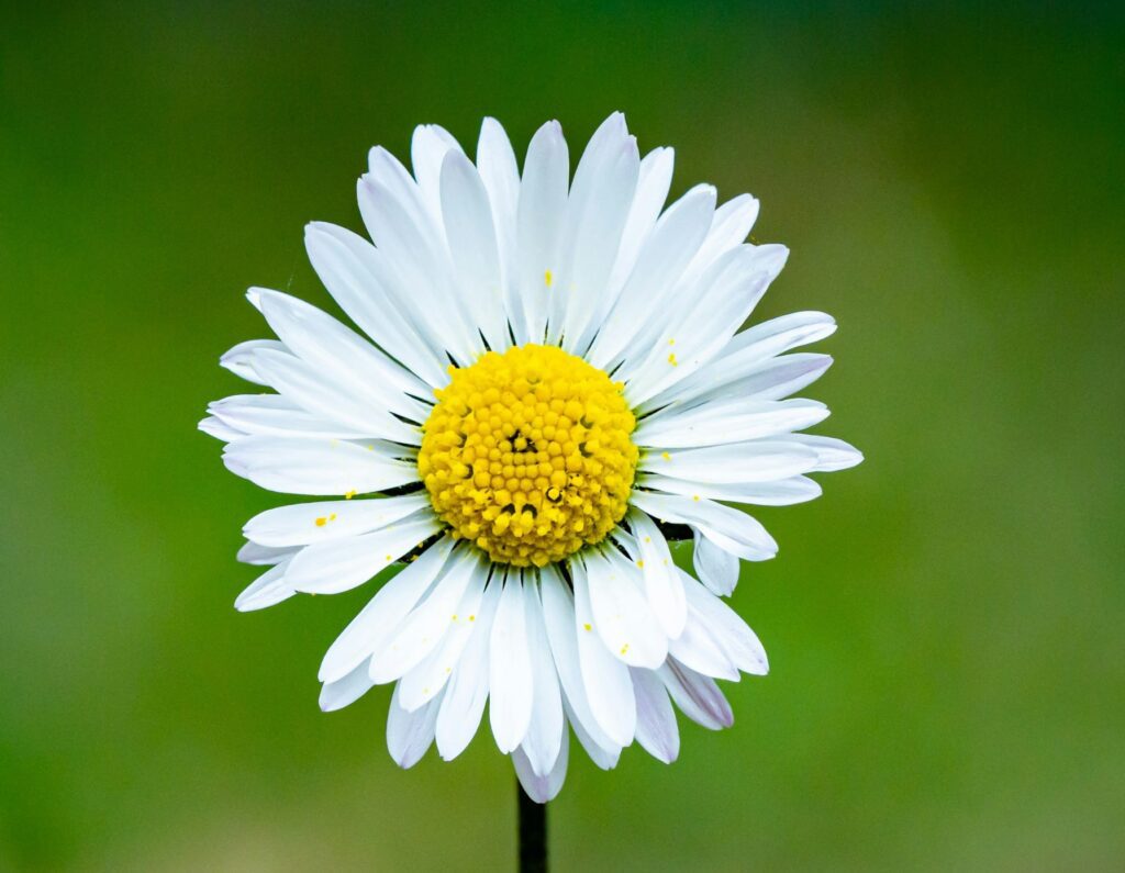 A symbol of sustainability