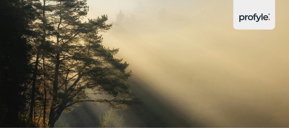 A beautiful landscape