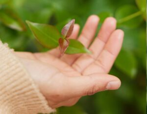 A symbol of environmental friendliness