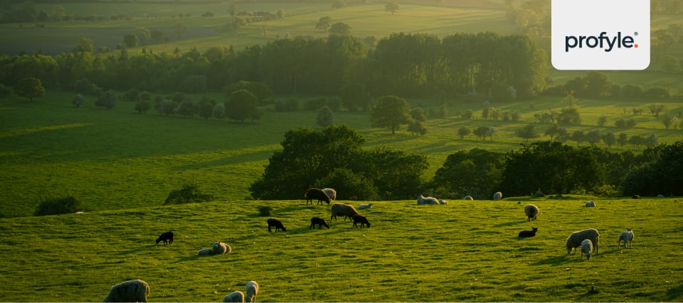 A picture showing what is sustainability in action