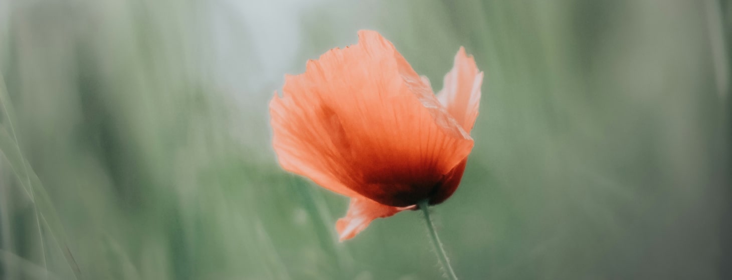 memory and brand naming